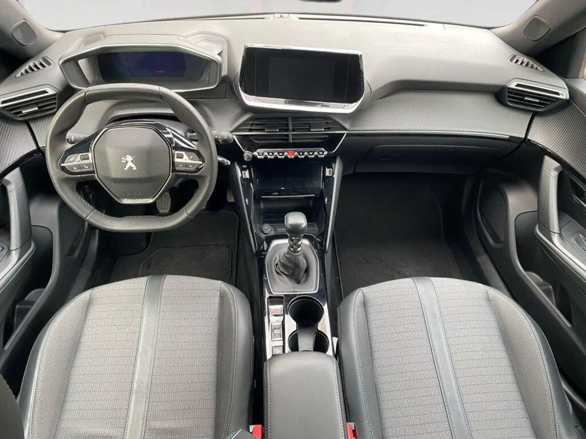 Peugeot 2008 usata a Torino (6)