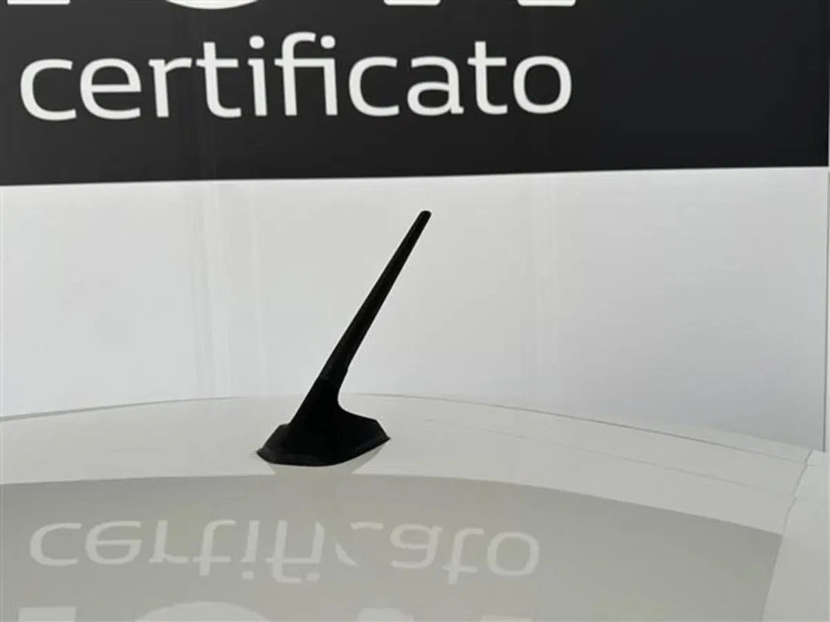 Renault Clio usata a Siena (7)