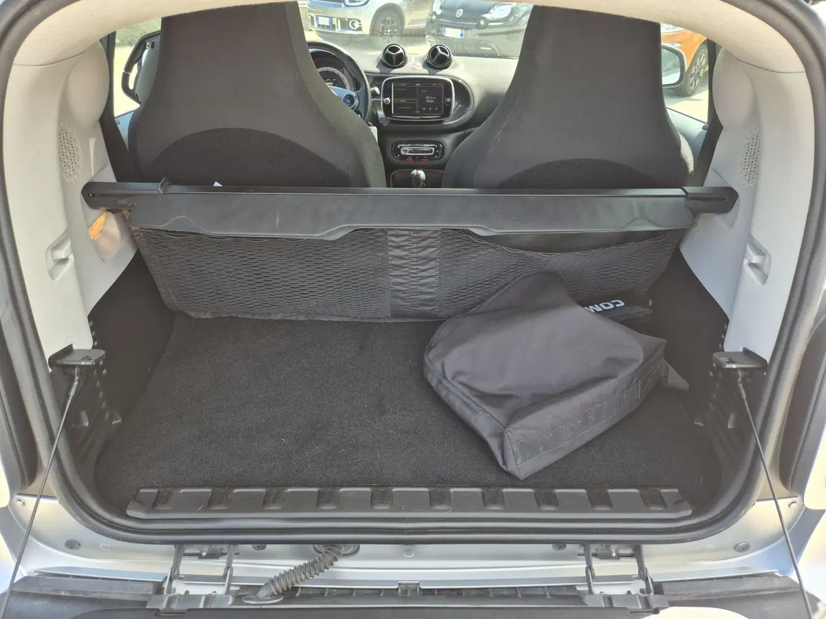 smart Fortwo usata  (10)