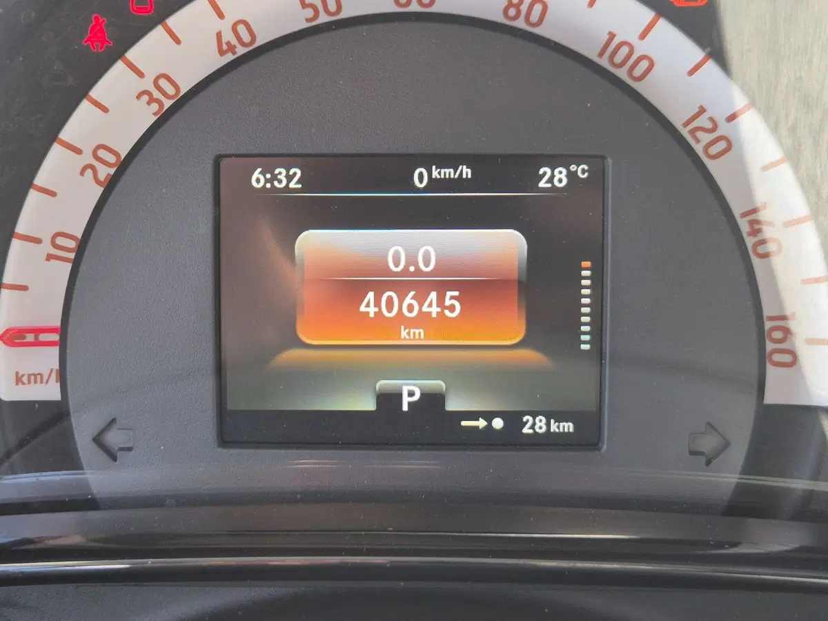 smart Fortwo usata  (12)