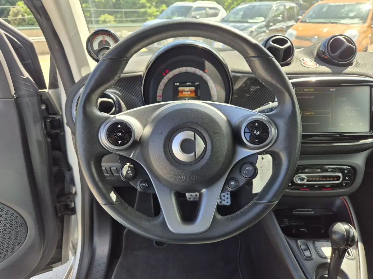 smart Fortwo usata  (15)