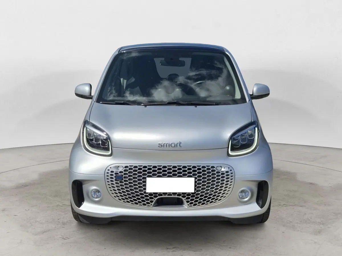 smart Fortwo usata  (2)