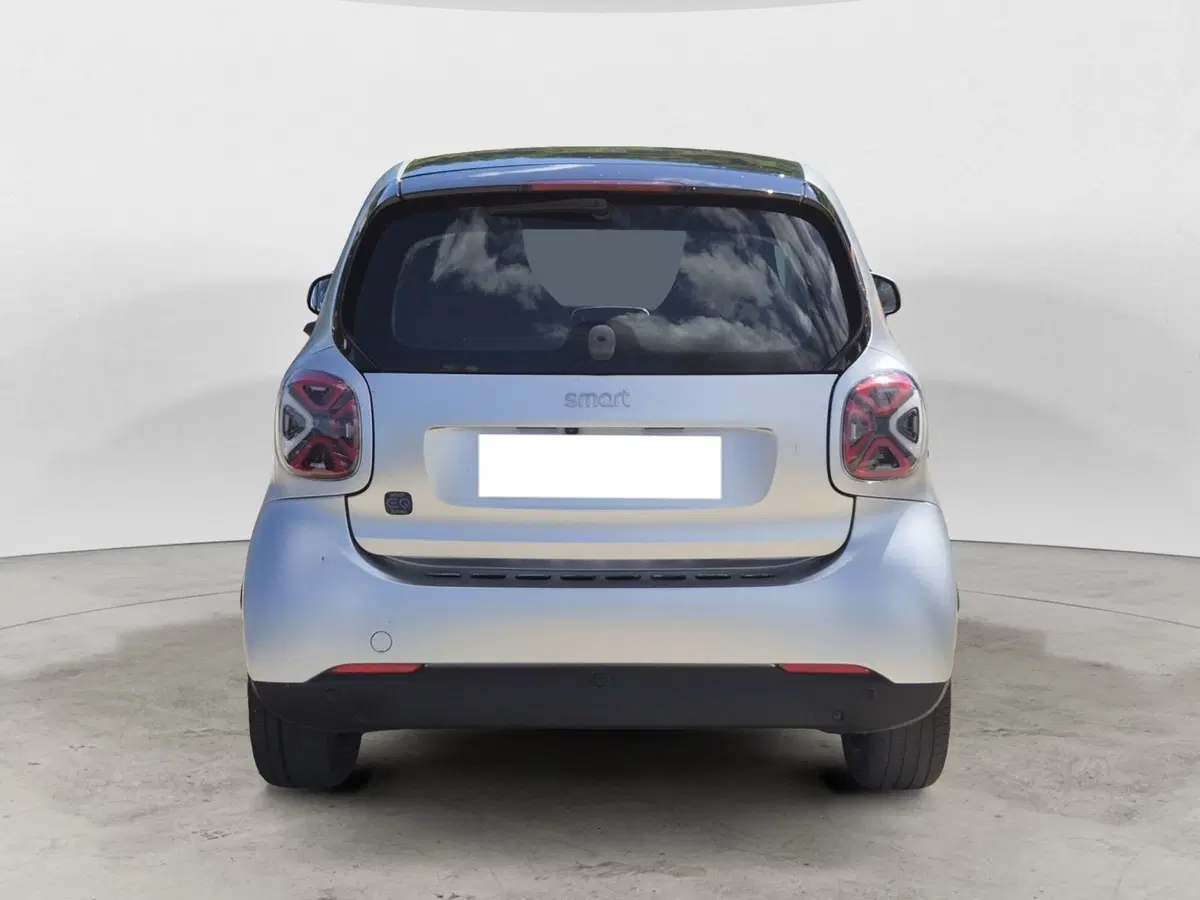 smart Fortwo usata  (3)