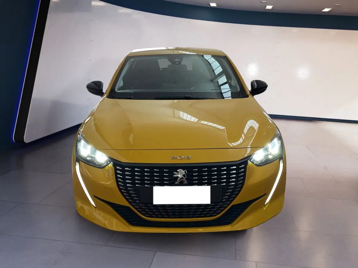 Peugeot 208 usata a Torino