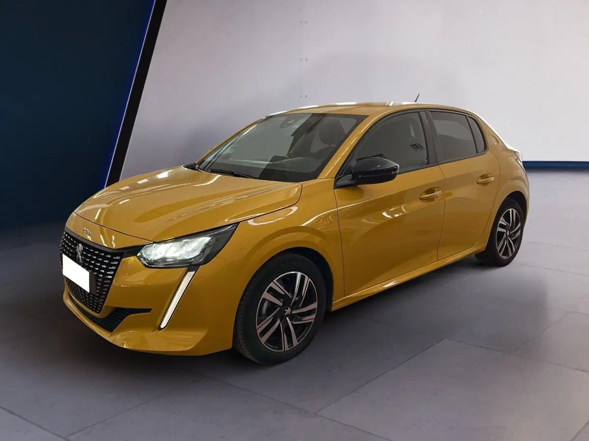 Peugeot 208 usata a Torino (2)