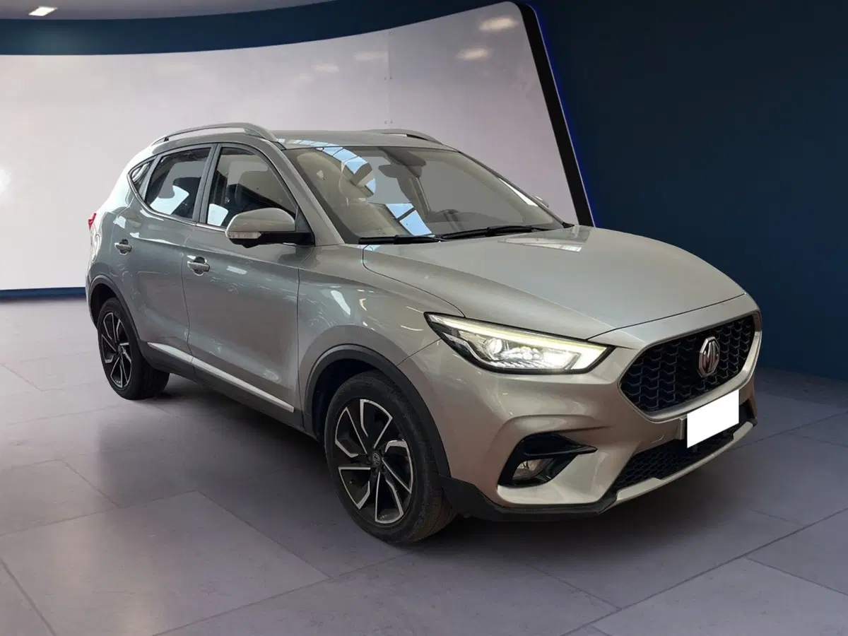 Mg ZS usata a Torino (2)