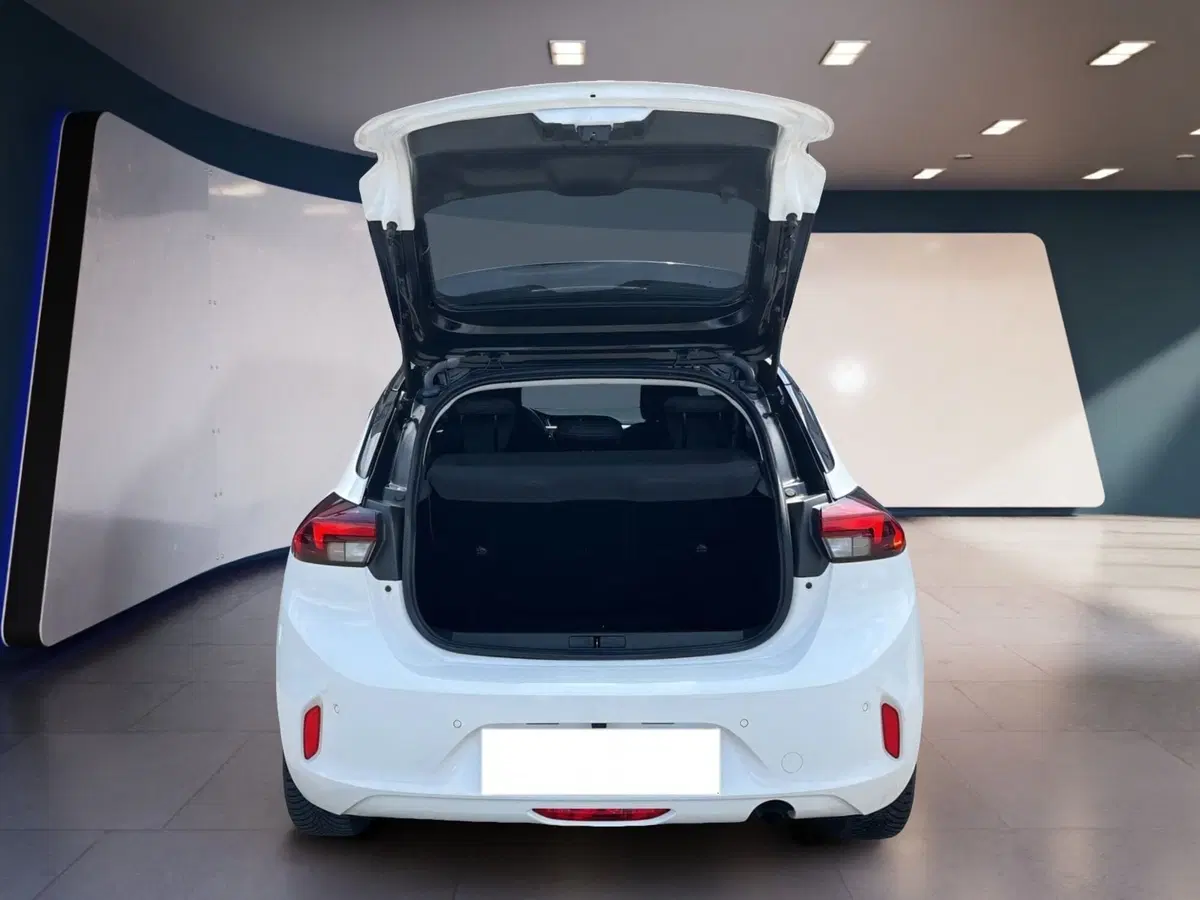 Opel Corsa usata a Torino (8)
