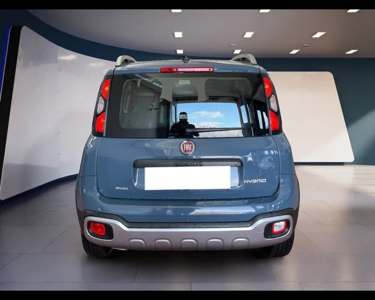 Fiat Panda Cross usata a Torino (10)