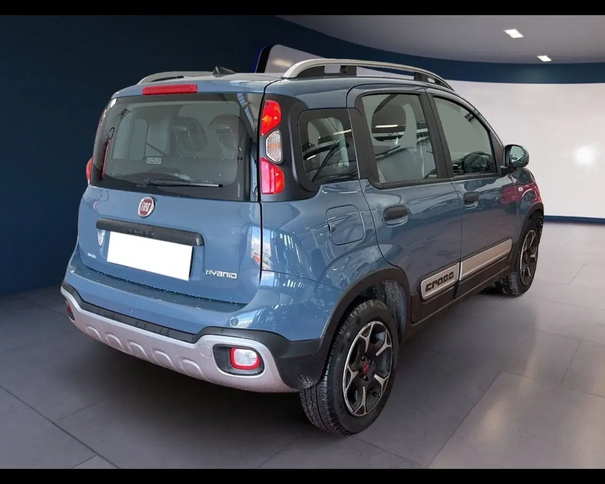 Fiat Panda Cross usata a Torino (11)
