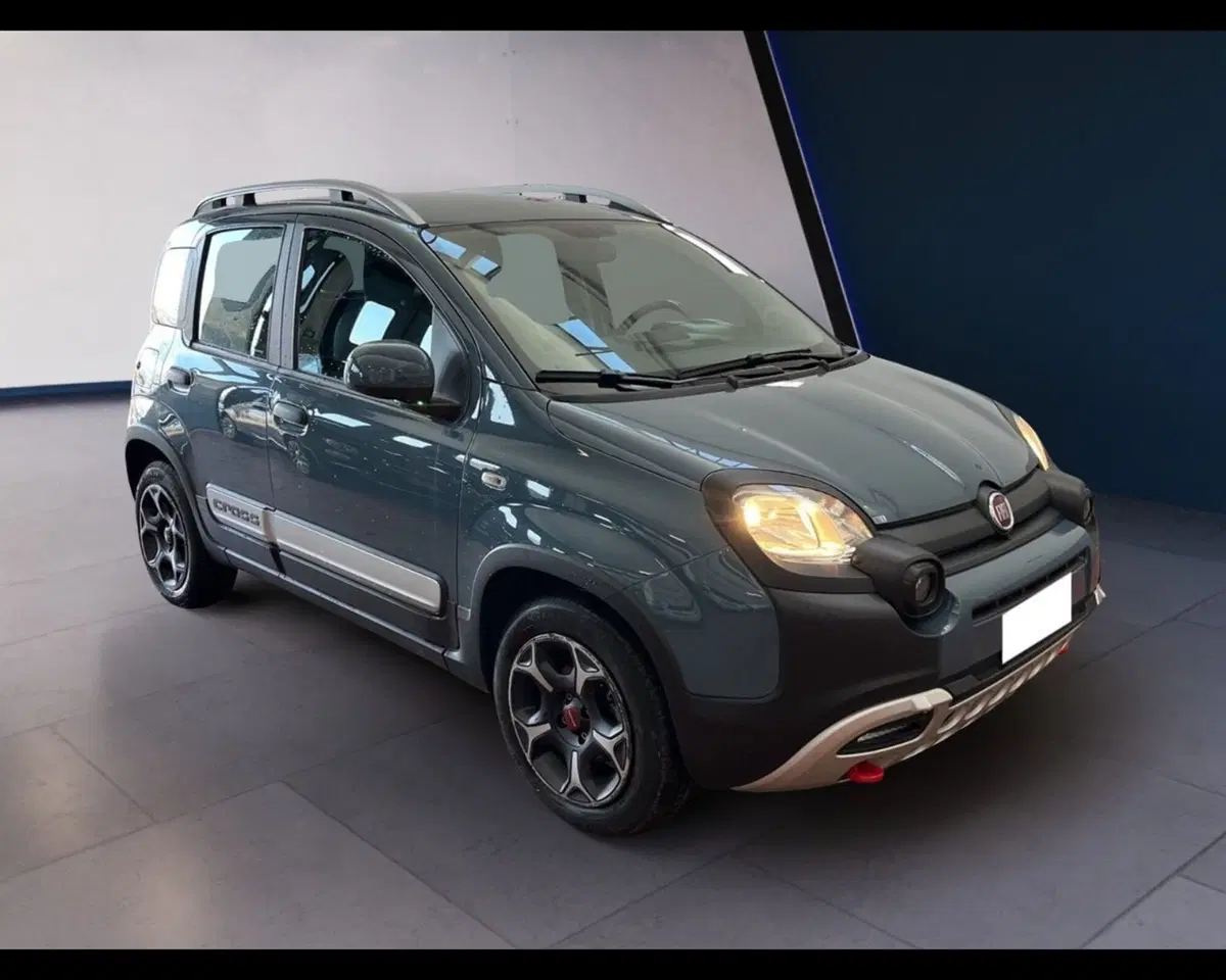 Fiat Panda Cross usata a Torino (7)