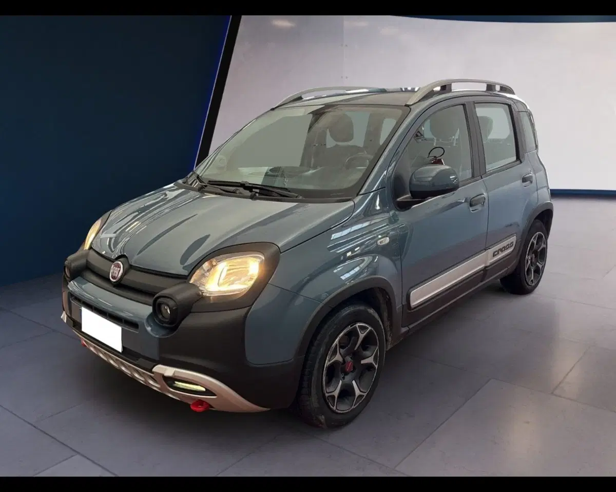 Fiat Panda Cross usata a Torino (8)