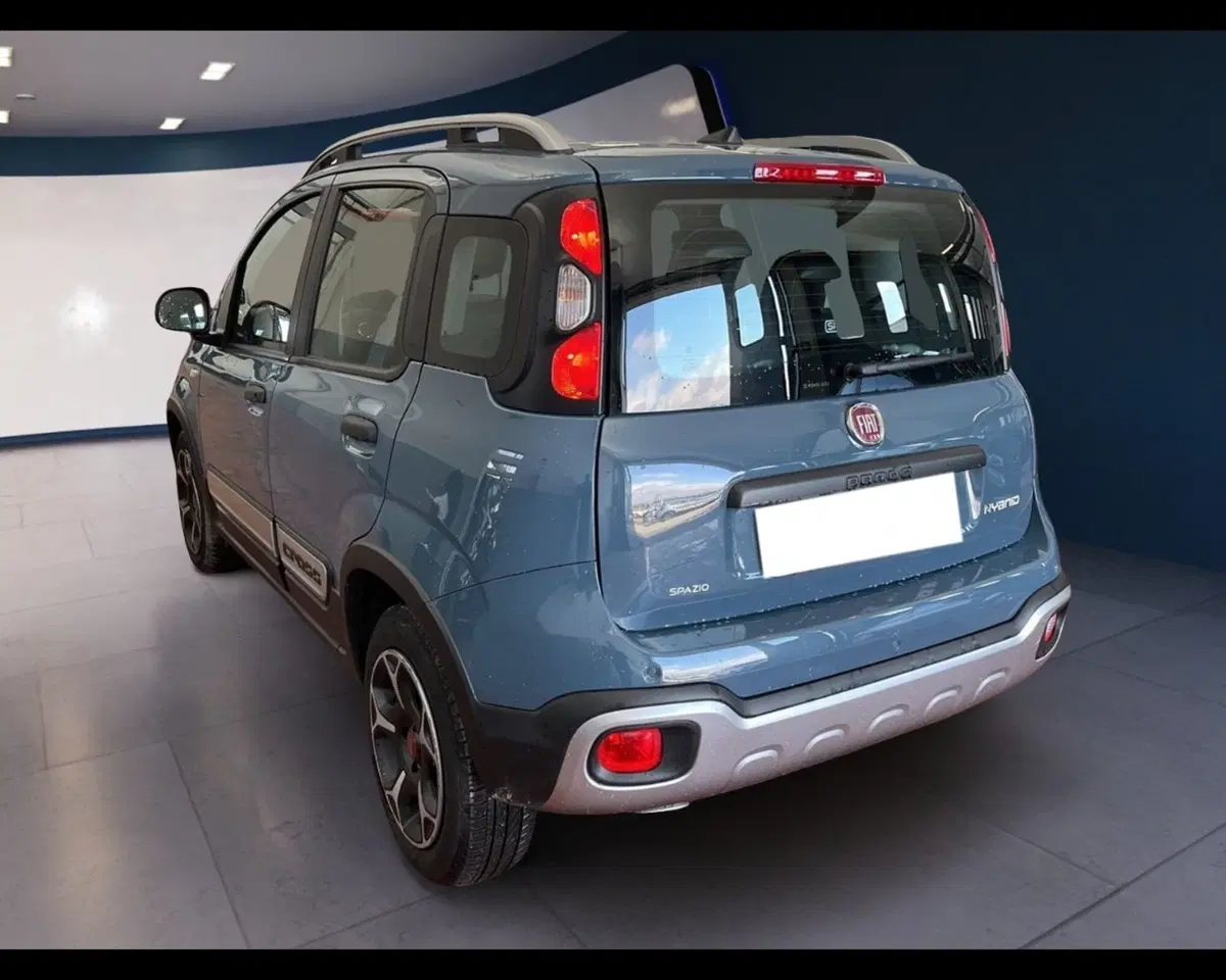Fiat Panda Cross usata a Torino (9)
