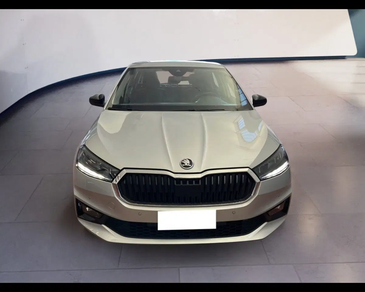 Skoda Fabia usata a Torino