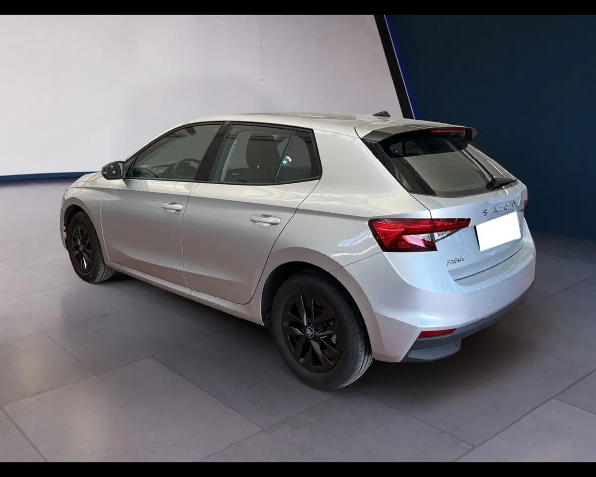 Skoda Fabia usata a Torino (10)
