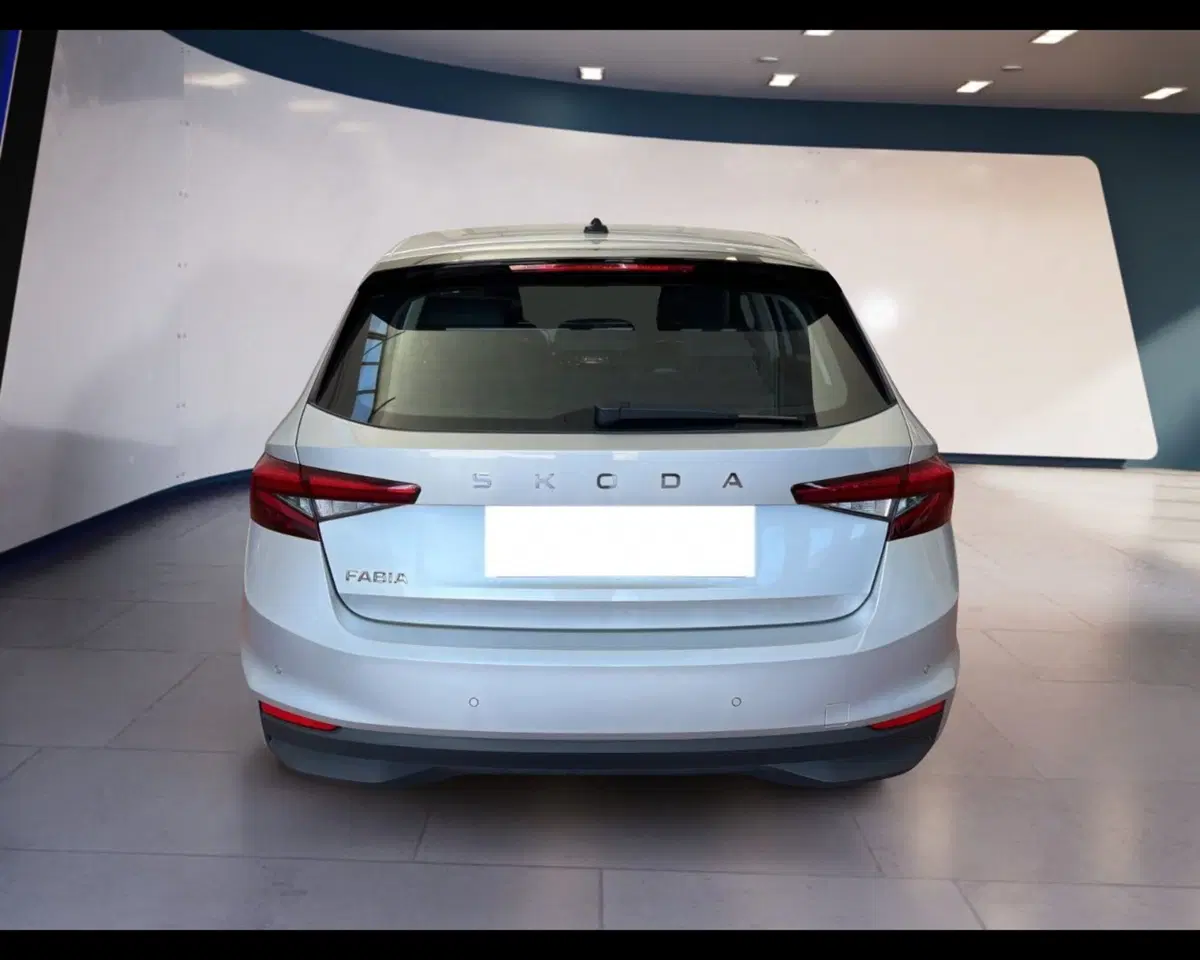 Skoda Fabia usata a Torino (11)