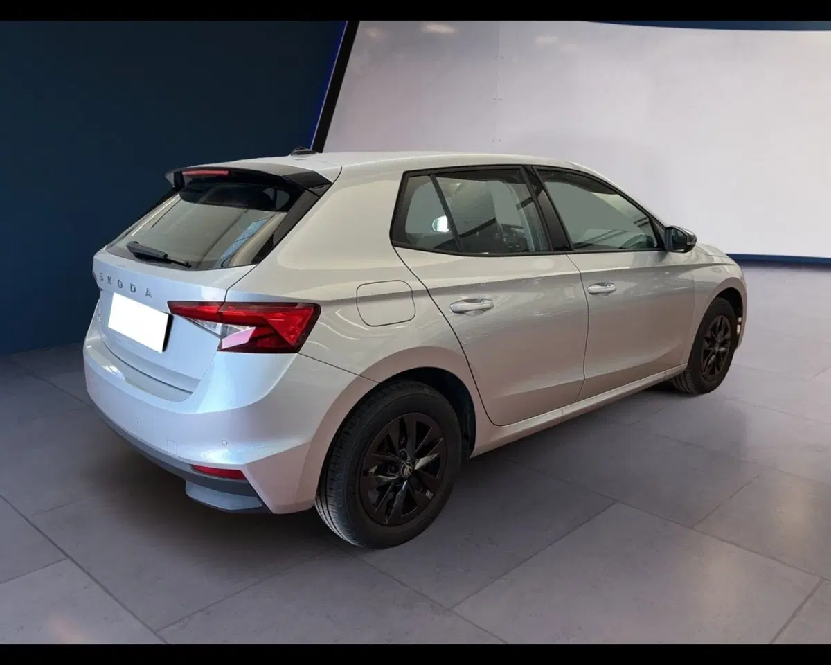 Skoda Fabia usata a Torino (12)