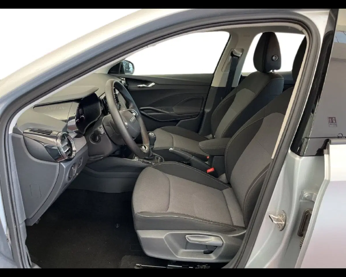 Skoda Fabia usata a Torino (2)