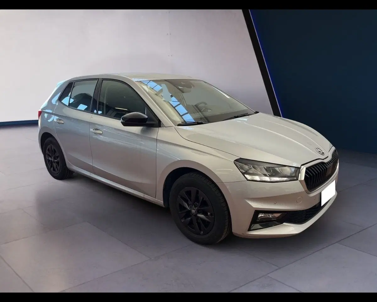 Skoda Fabia usata a Torino (8)