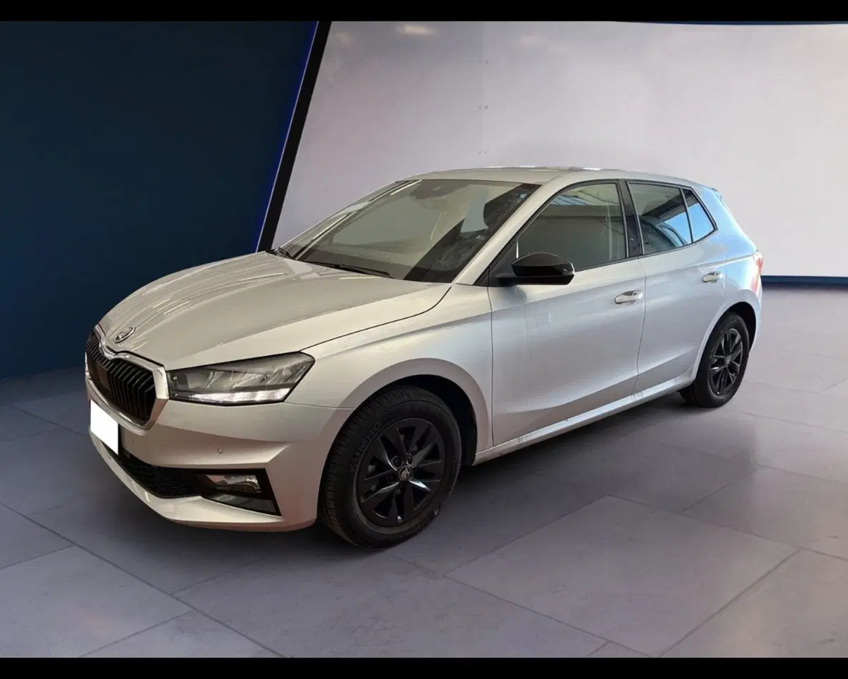 Skoda Fabia usata a Torino (9)