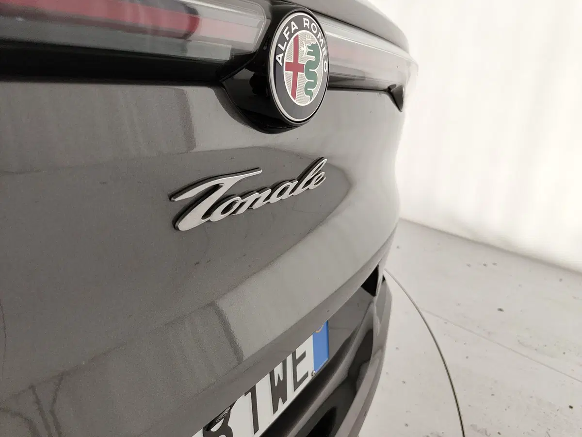 Alfa Romeo Tonale usata a Caserta (10)