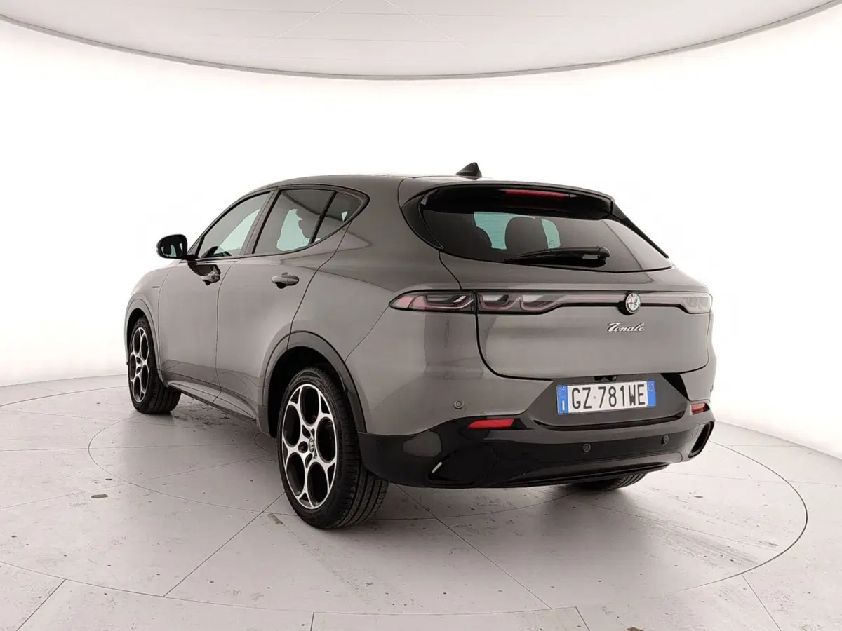 Alfa Romeo Tonale usata a Caserta (4)