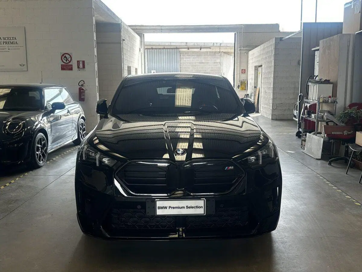 BMW X2 usata a Alessandria (4)