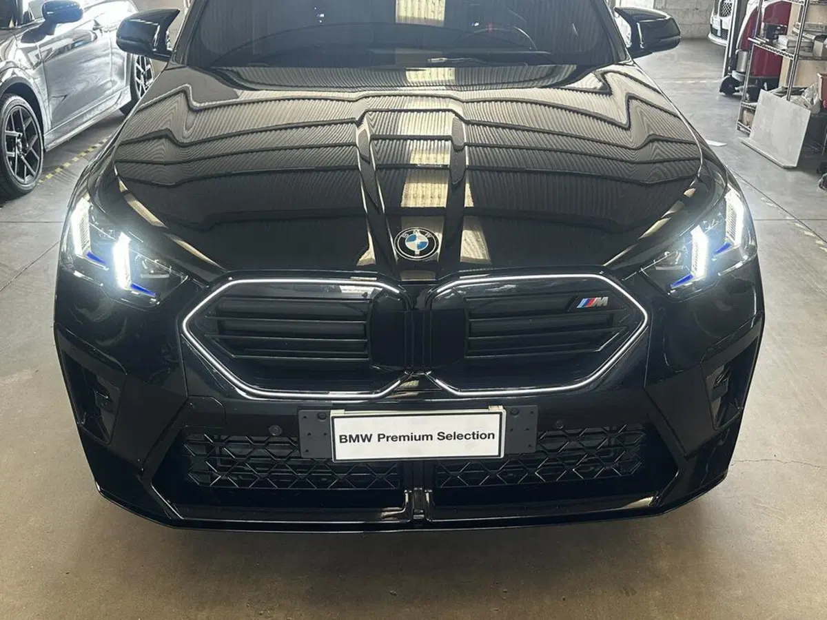 BMW X2 usata a Alessandria (5)