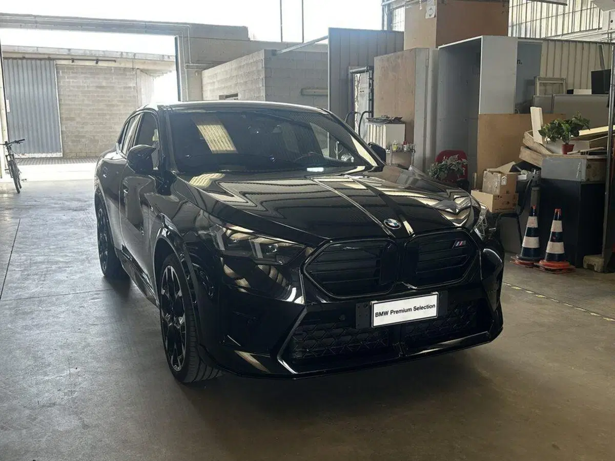 BMW X2 usata a Alessandria (6)