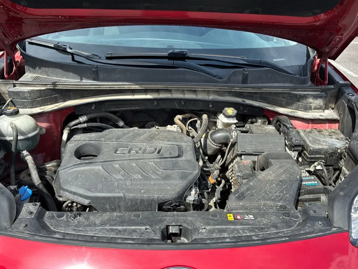 Kia Sportage usata a Mantova (16)