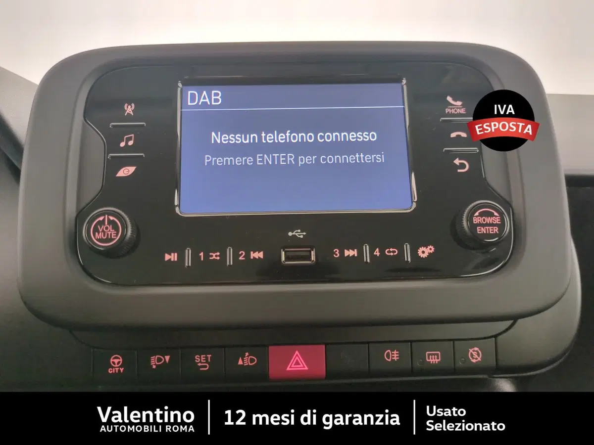 Fiat Panda Cross usata a Roma (15)