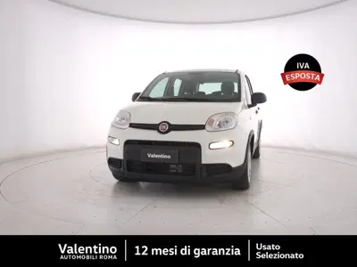Fiat Panda Cross Cross 1.0 FireFly S&amp;S Hybrid del 2024 usata a Roma