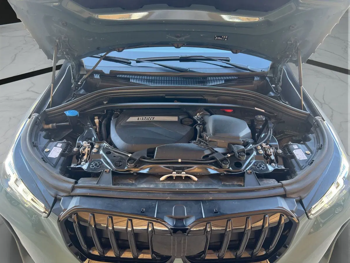 BMW X1 usata a Cosenza (20)