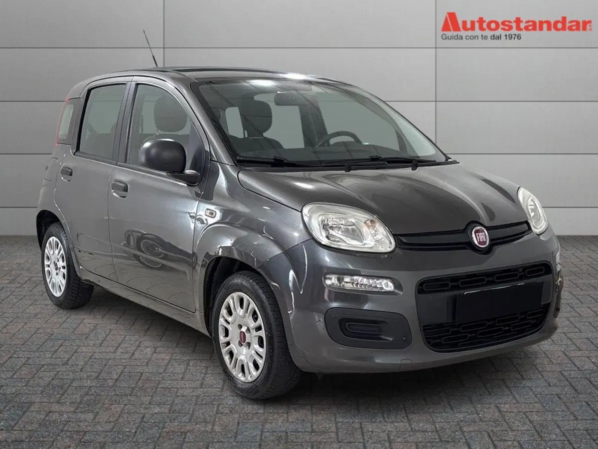 Fiat Panda usata a Torino (3)