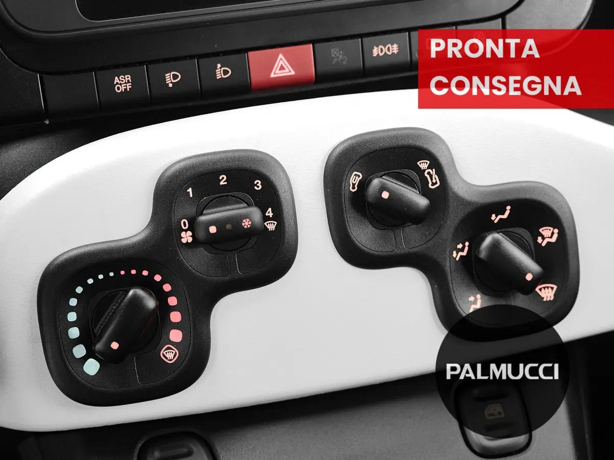 Fiat Panda Cross usata a Prato (16)
