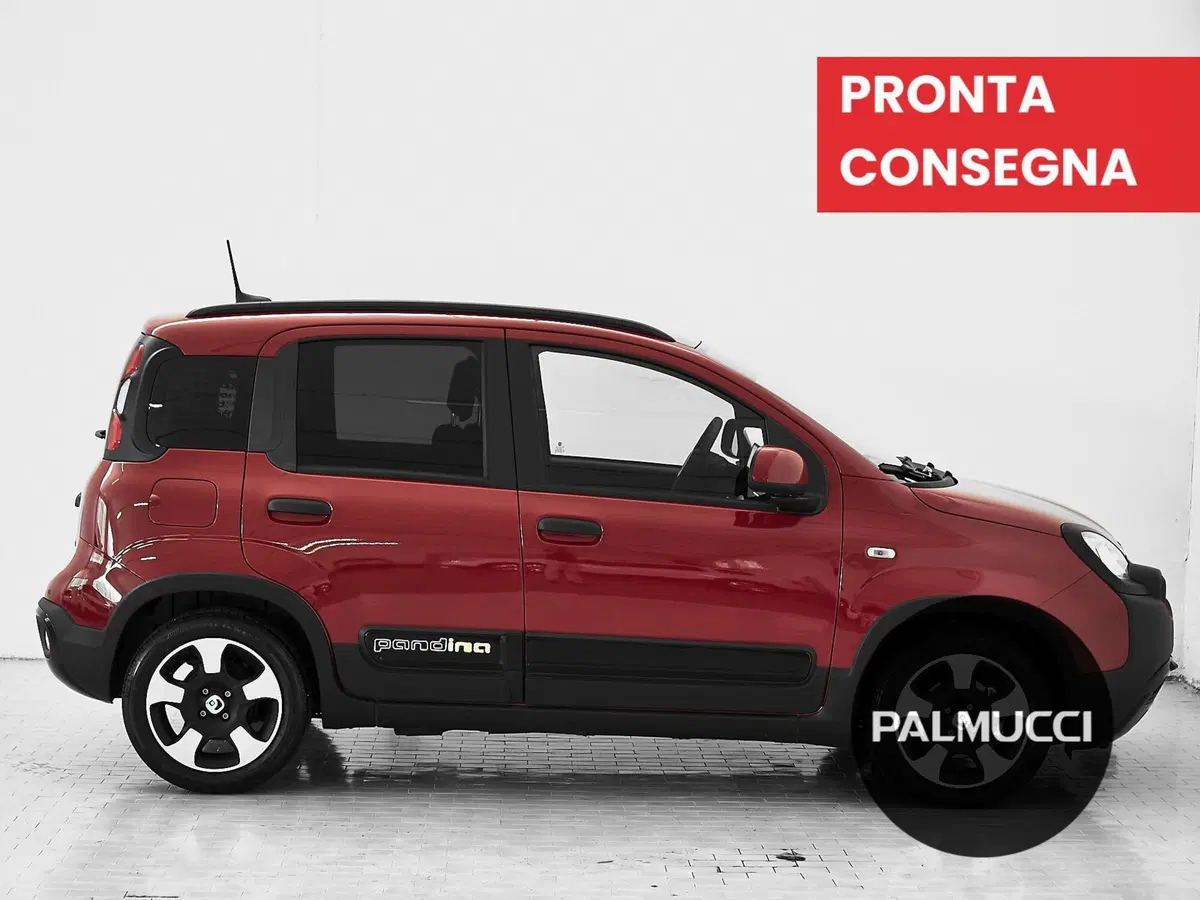 Fiat Panda Cross usata a Prato (4)