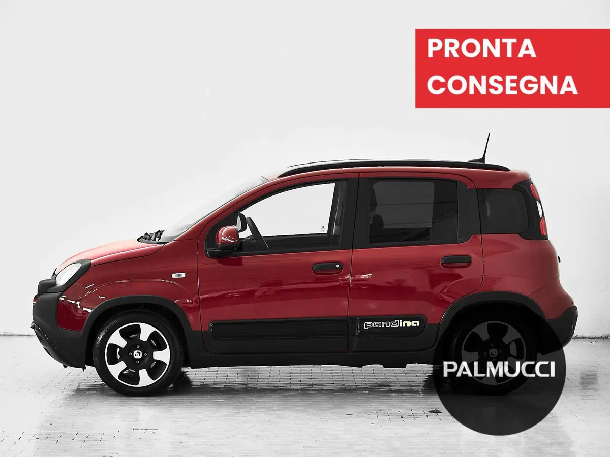 Fiat Panda Cross usata a Prato (5)