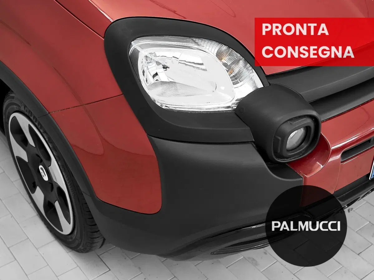 Fiat Panda Cross usata a Prato (6)