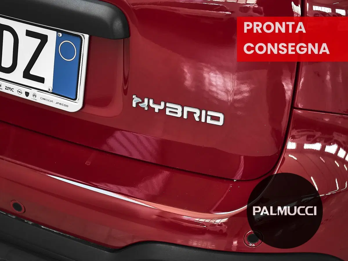 Fiat Panda Cross usata a Prato (7)