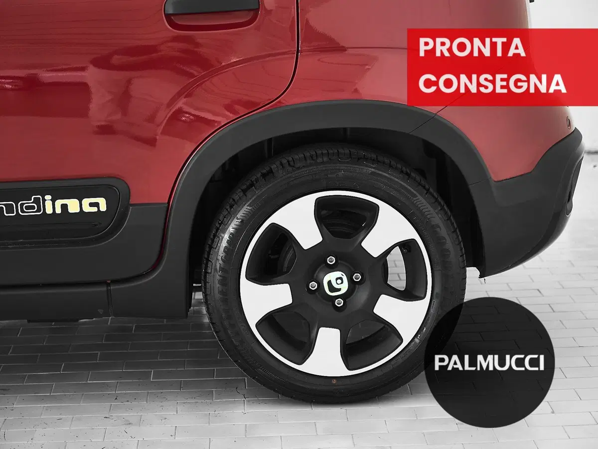 Fiat Panda Cross usata a Prato (9)