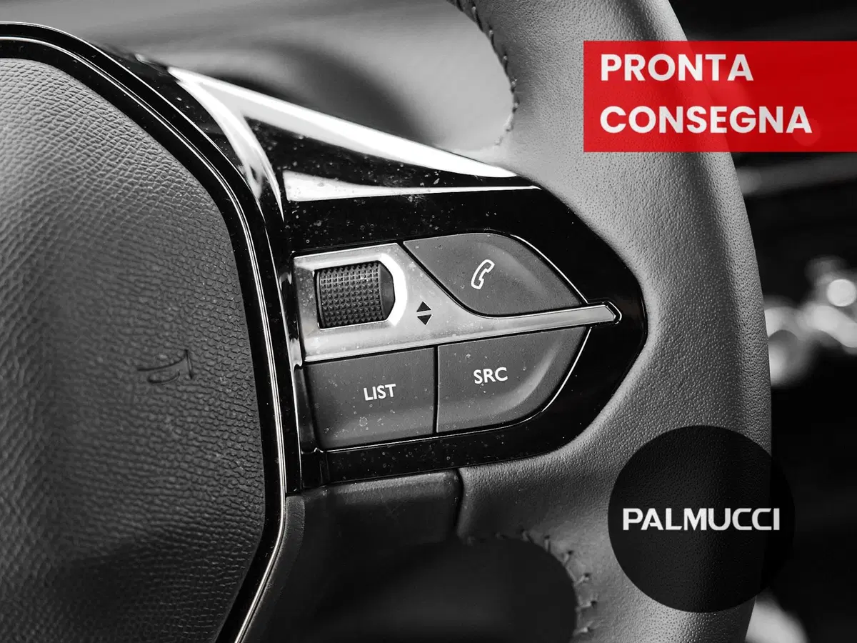 Peugeot 2008 usata a Prato (12)