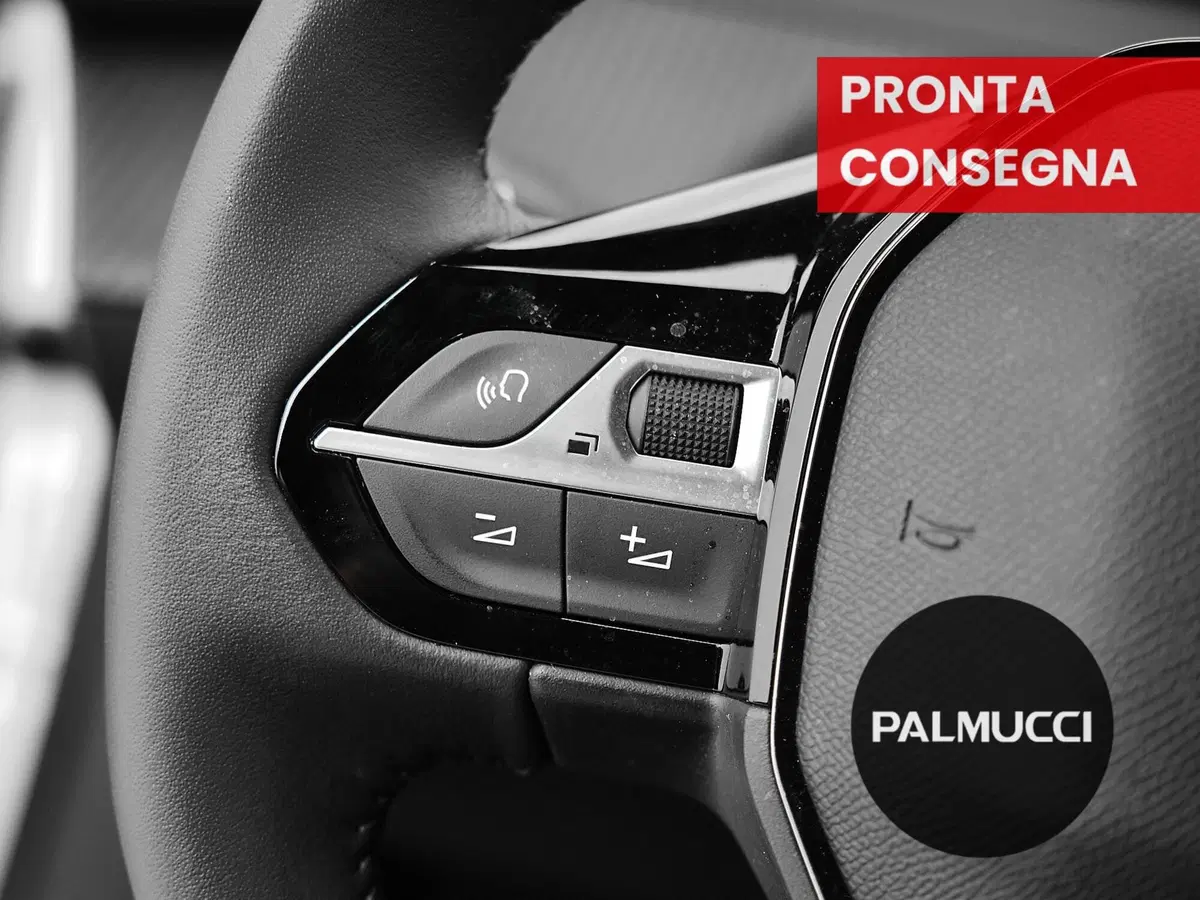 Peugeot 2008 usata a Prato (17)