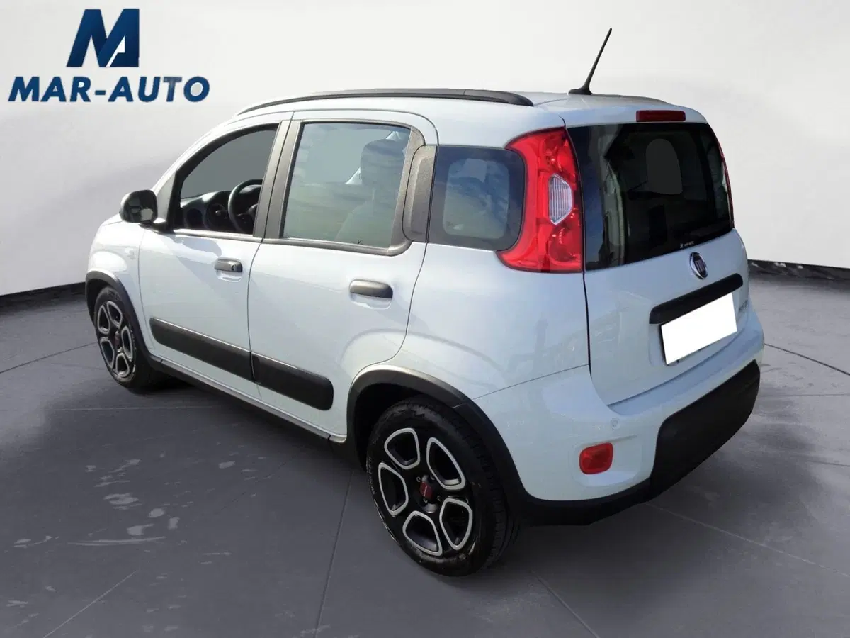 Fiat Panda usata a Treviso (2)