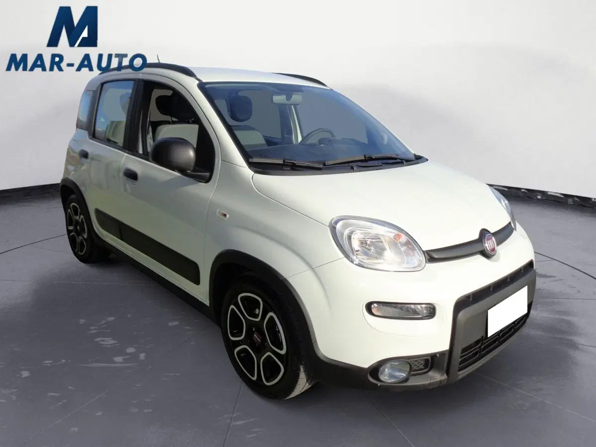 Fiat Panda usata a Treviso (4)