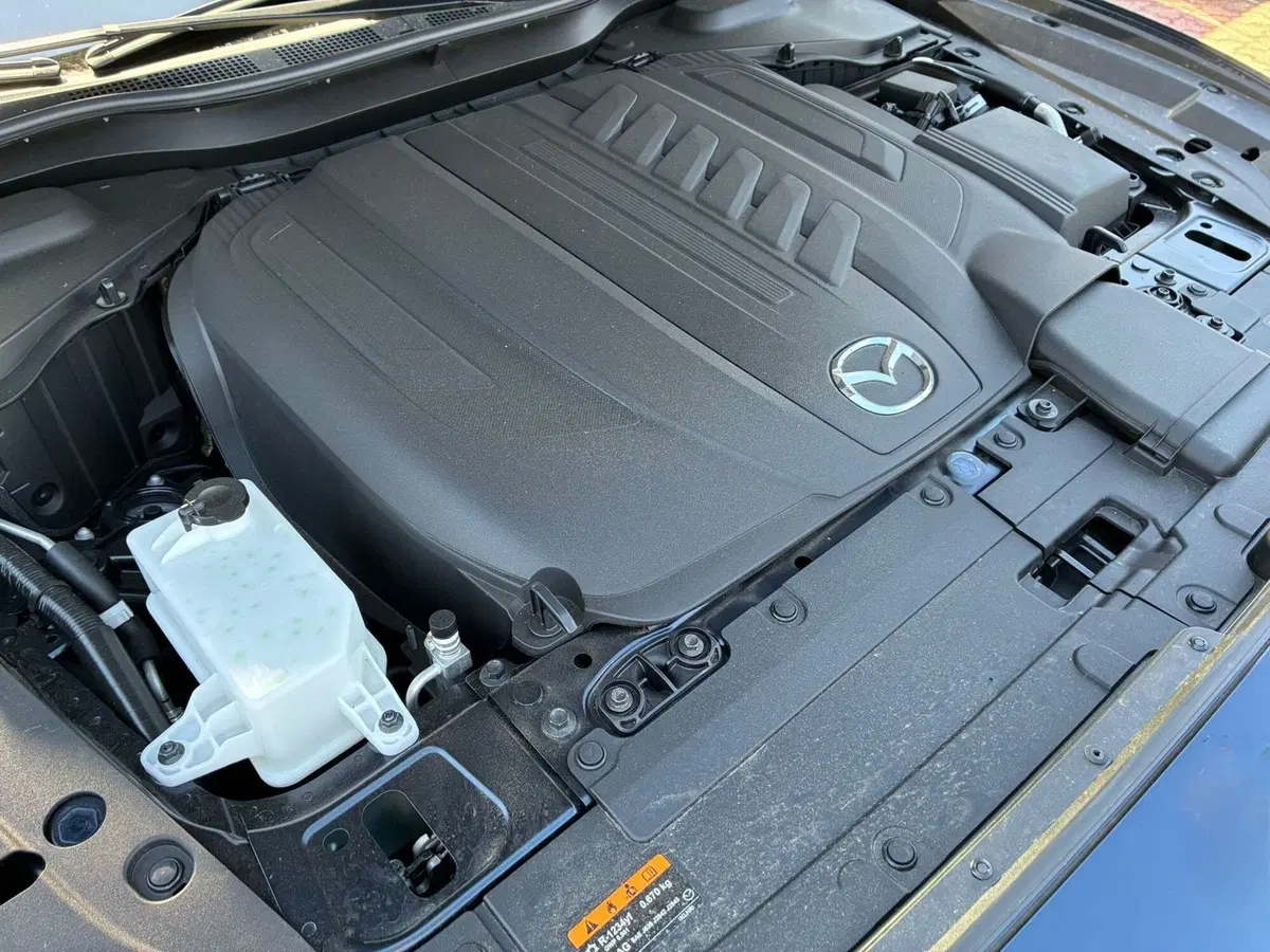 Mazda CX-60 usata a Vercelli (13)