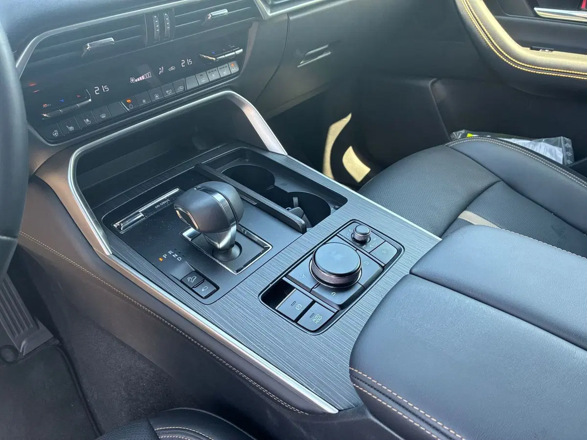 Mazda CX-60 usata a Vercelli (15)