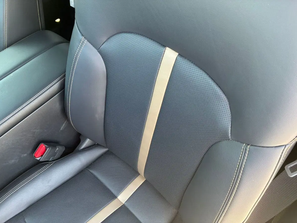 Mazda CX-60 usata a Vercelli (18)