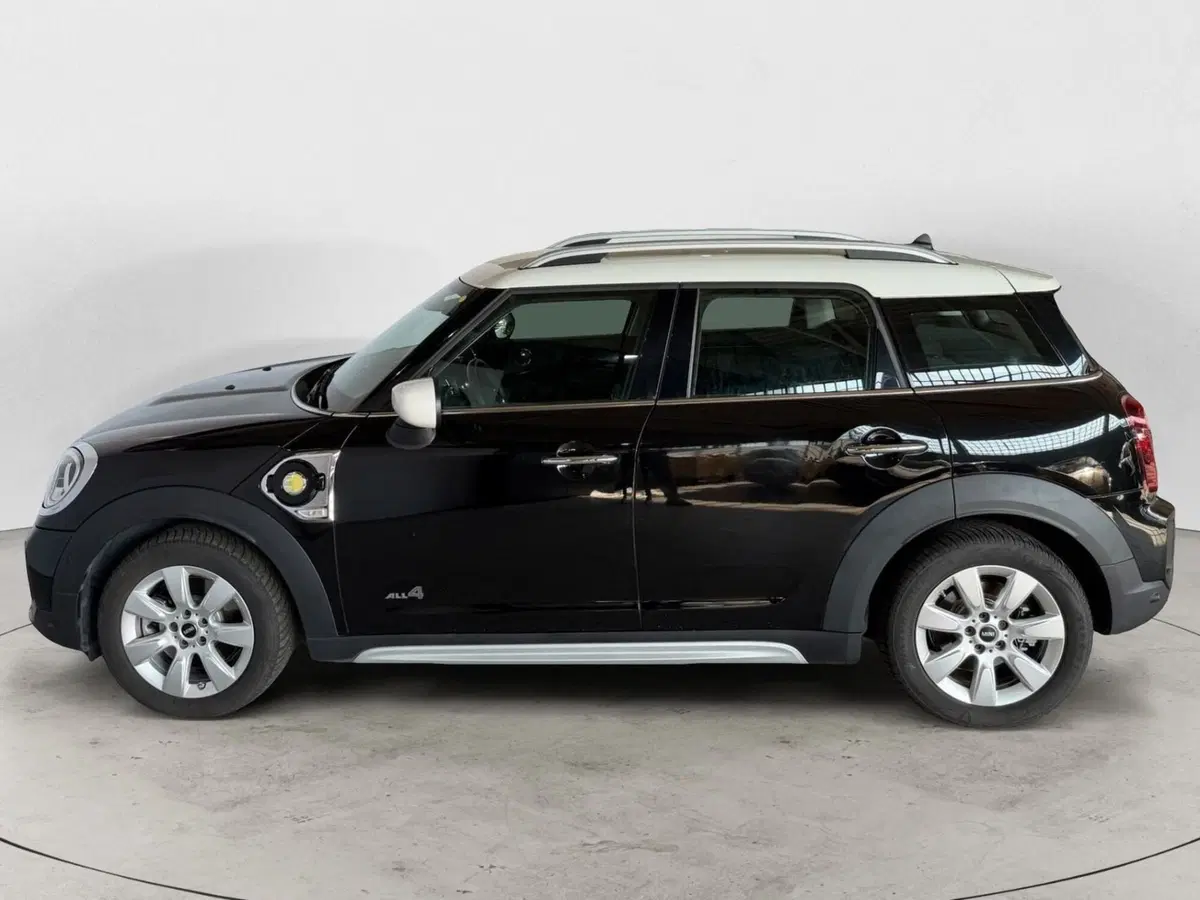 MINI Mini Countryman usata a Monza e Brianza (3)