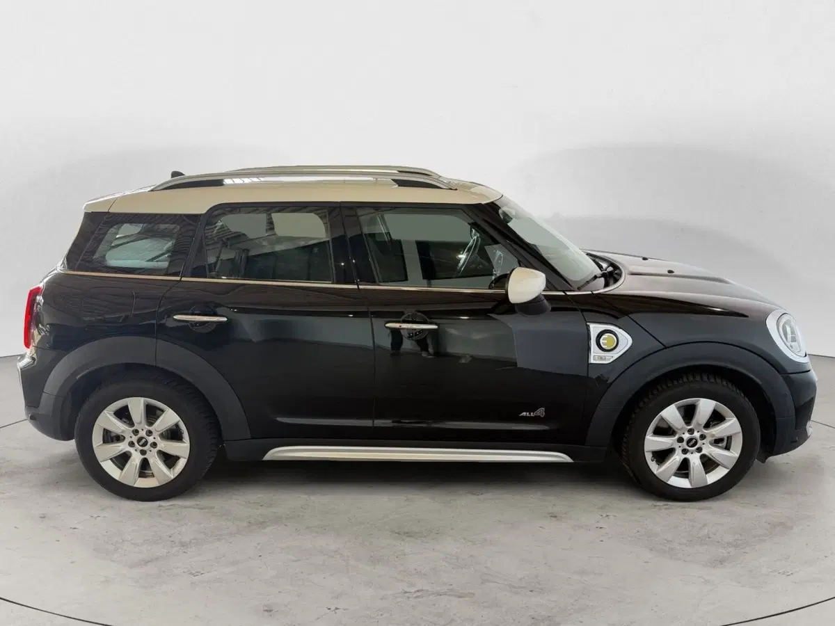 MINI Mini Countryman usata a Monza e Brianza (7)