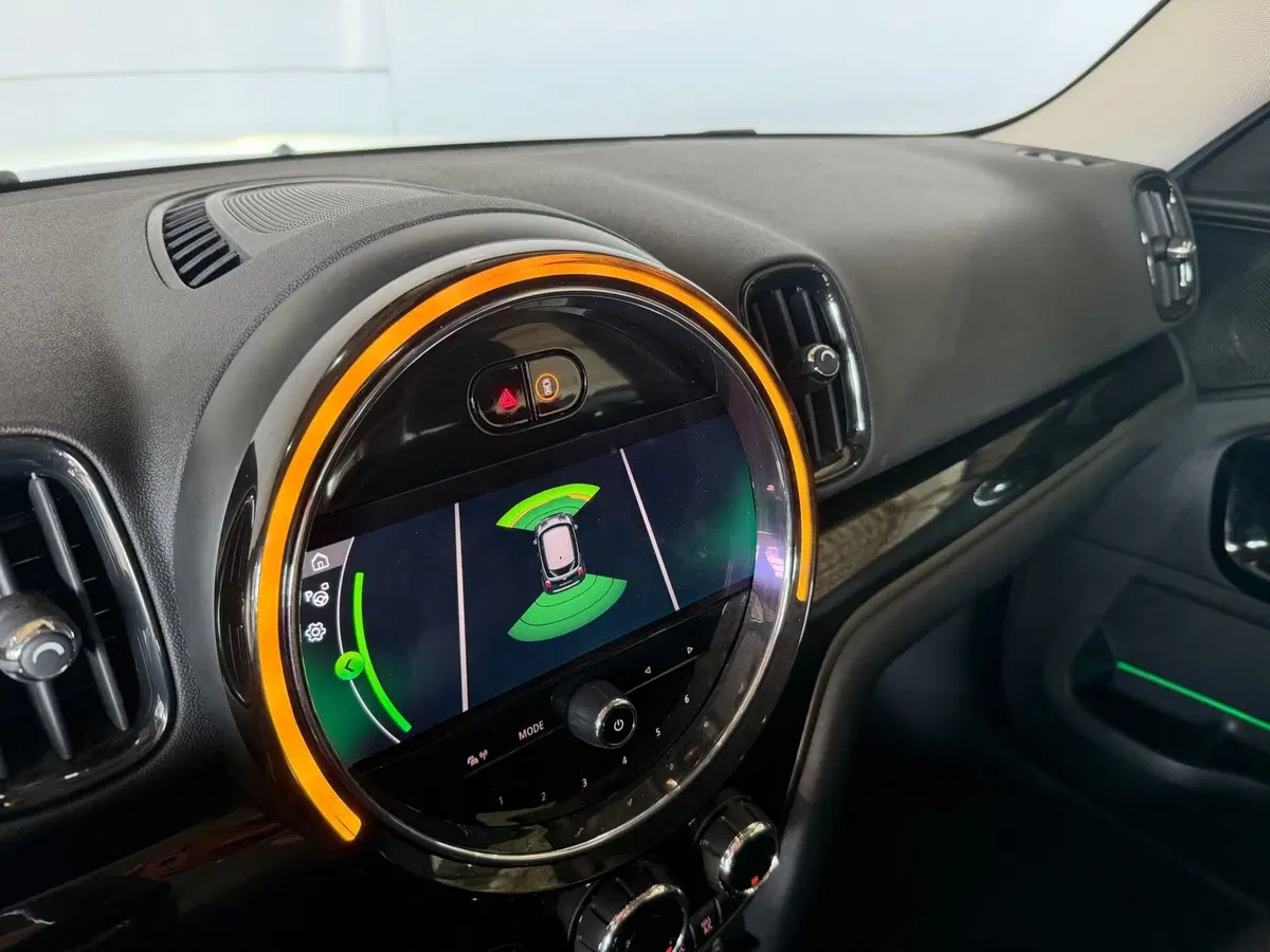 MINI Mini Countryman usata a Monza e Brianza (9)