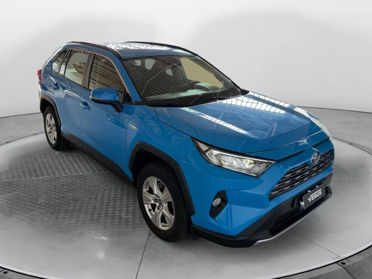 Toyota Rav4 usata a Monza e Brianza (15)